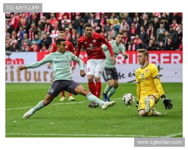 德甲球队海茵茨资料介绍及效力队伍背景